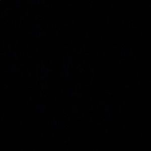 Meet your Posher, Kaylee